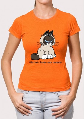 Camiseta Grumpy Garfield